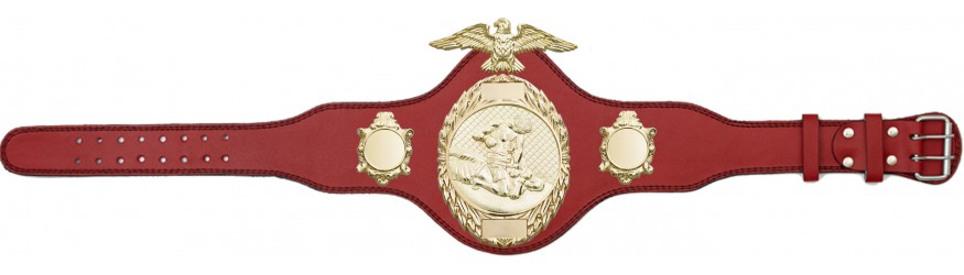 MMA CHAMPIONSHIP TITLE BELT-PLT288/G/MMAG-4 COLOURS